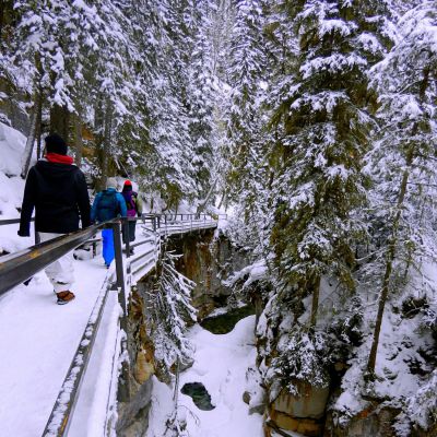 Manali tour package from Jaipur 3 Nights 4 Days by Flight